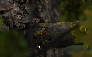 AntVentor Screenshot AntVentor Screenshot